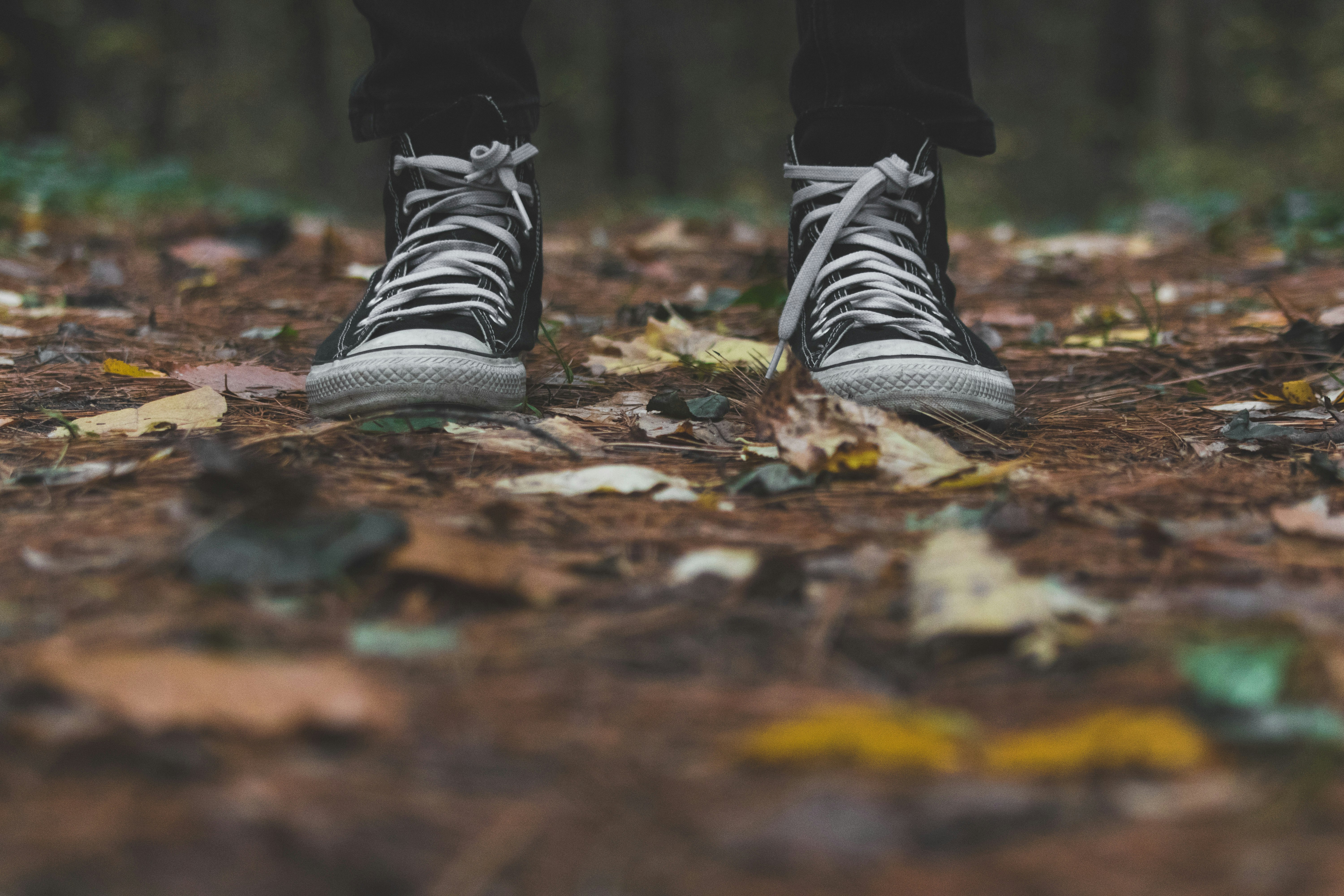 photo of person standing on ground surrounded with leaves